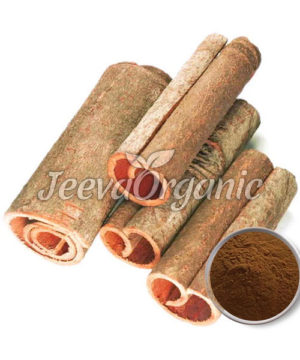 Cassia Cinnamon Bark Powder