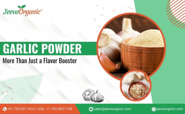Garlic Powder-Ingredient for Food Processors