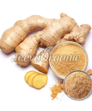 Ginger Extract Powder 2.5% Gingerol, HPLC