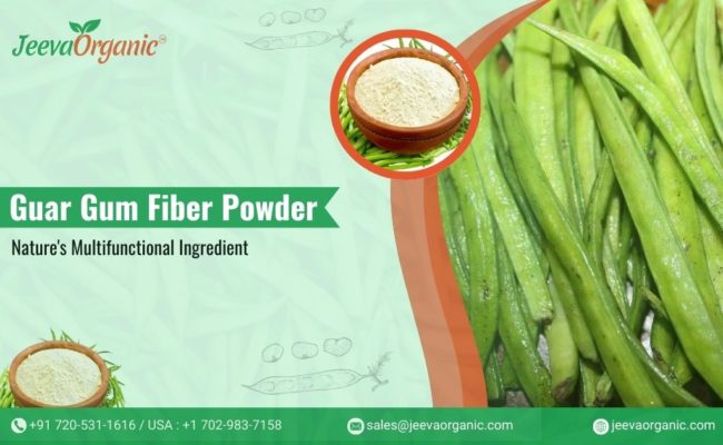 Guar Gum Fiber Powder: Transforming Product Formulations