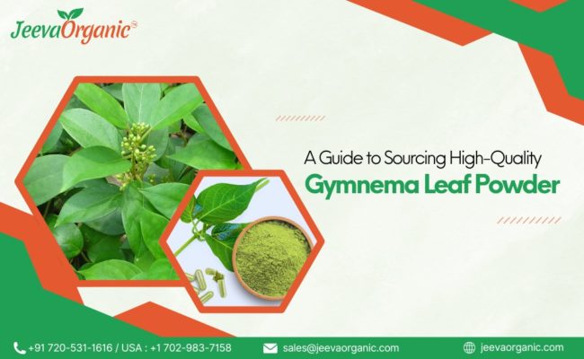 Gymnema Leaf Powder sourcing for B2B